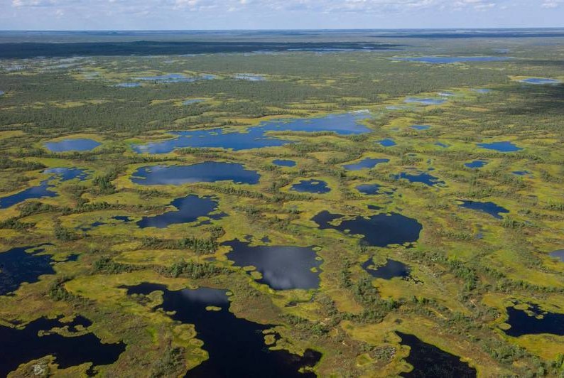 Совещание по вопросам создания на территории ФГБУ "Государственный заповедник "Васюганский" многофункционального центра 
