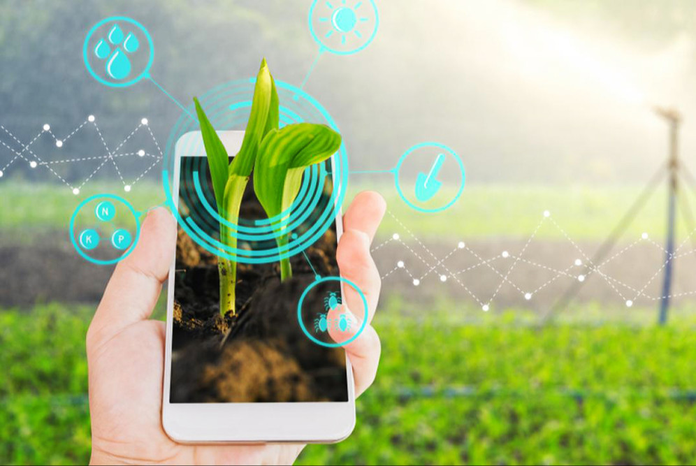 Цифровые решения в сельском хозяйстве (ООО "Агроноут"). Цикл семинаров "Цифровые технологии в растениеводстве" 