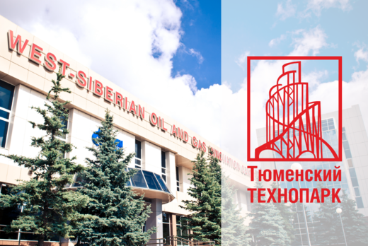 Эффективность и перспективы развития услуг и сервисов Тюм...