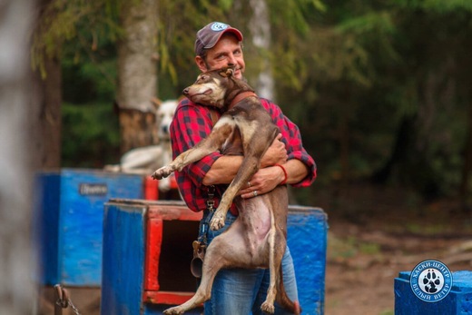Не только голубые глазки: о ездовом спорте, собаках и езд...