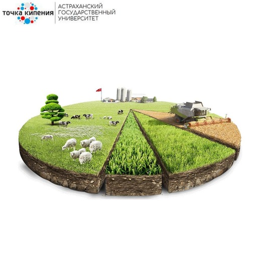 Предпринимательство по отраслям . Сельское хозяйство