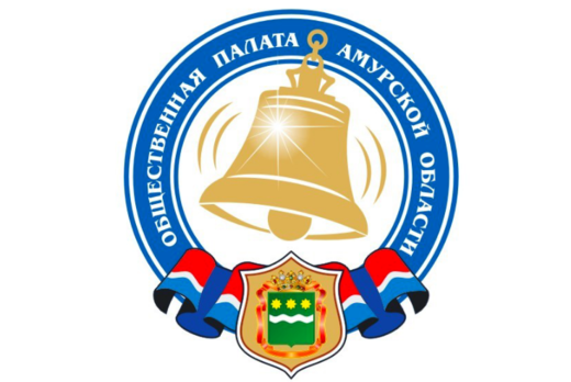 Заседание Общественной палаты Амурской области "Обсуждени...