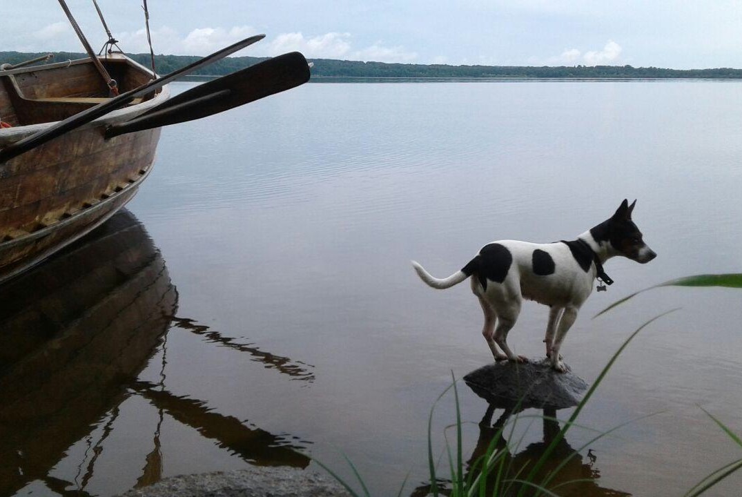 БАЗОВЫЕ НАВЫКИ ПУТЕШЕСТВЕННИКА о подготовке детей 8 - 11 лет к походам на вёслах и под парусом