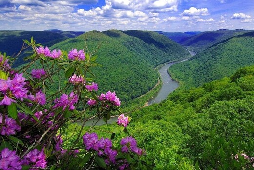 Презентация национального парка "Бикин"