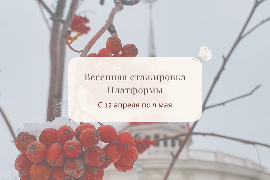 Весенняя стажировка Платформы. Встреча №2