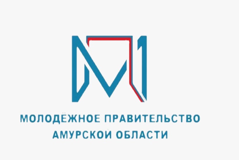 Заседание Молодежного Правительства. 