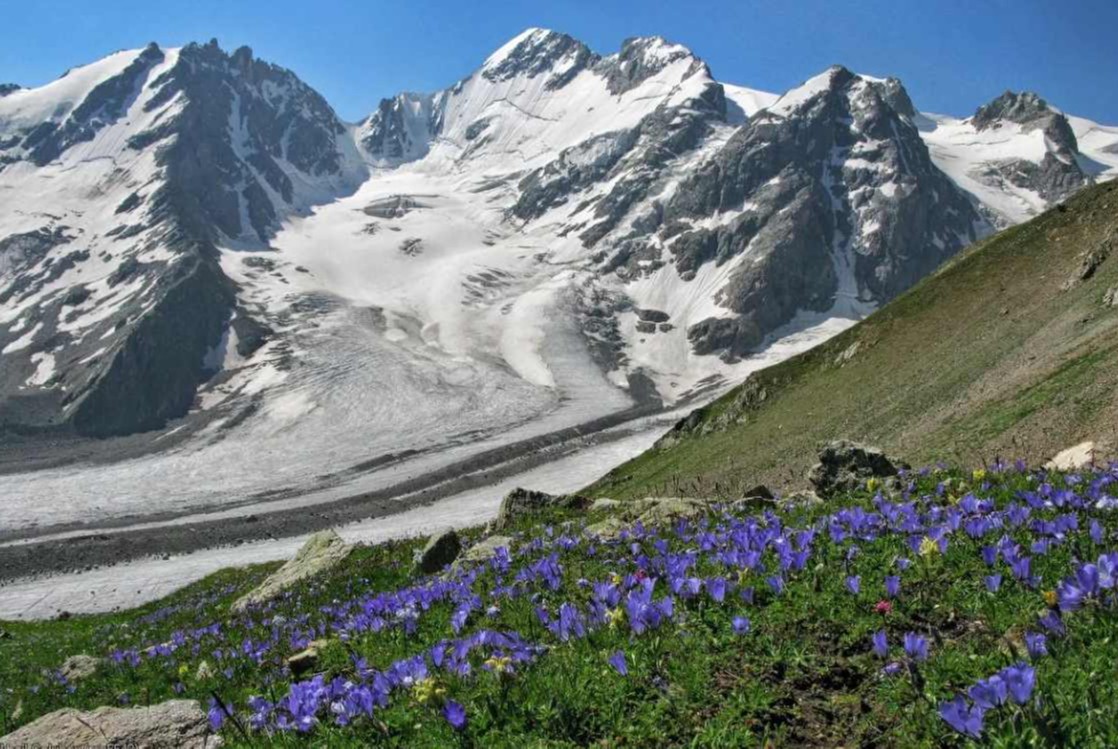 Северный Кавказ в годы Великой Отечественной войны