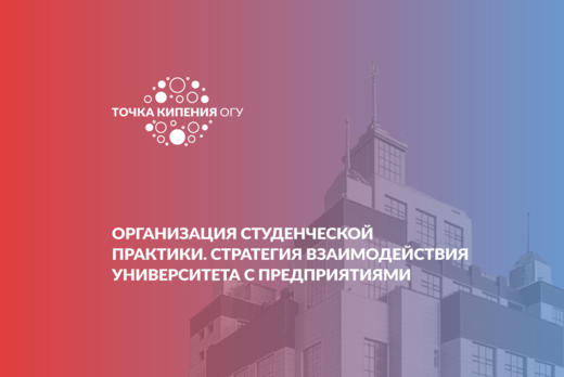 Организация студенческой практики. Стратегия взаимодейств...