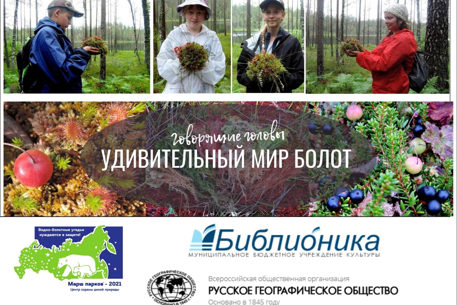 Удивительный мир болот