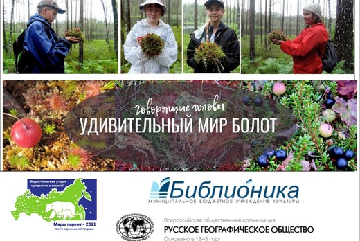 Удивительный мир болот