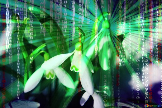 Диджитал весна