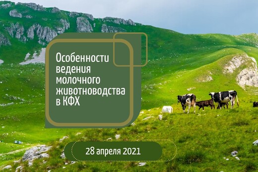 АГРО НТИ: Особенности ведения молочного животноводства в...