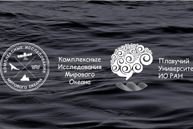 МОЙ ВЗГЛЯД НА КИМО