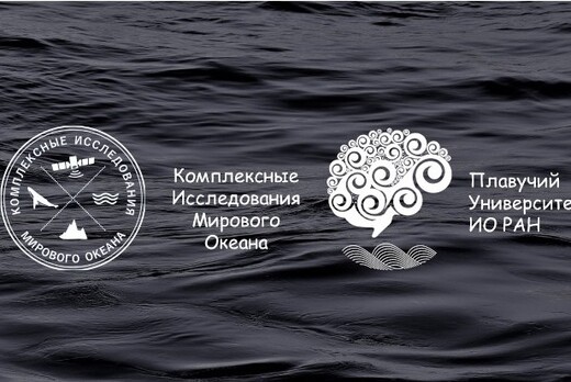 МОЙ ВЗГЛЯД НА КИМО