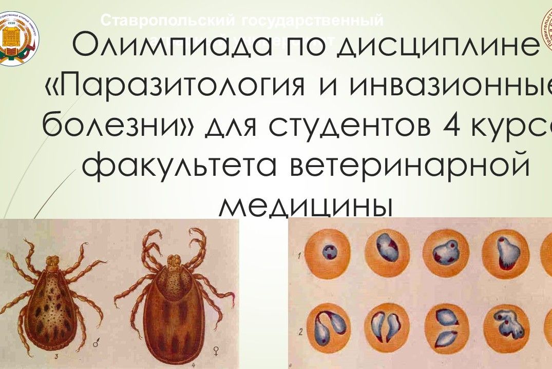 Институт паразитологии. Ассоциативные болезни животных паразитология. Клещи мед паразитология. Гнус паразитология Ветеринария. Инвазионные болезни мемы.