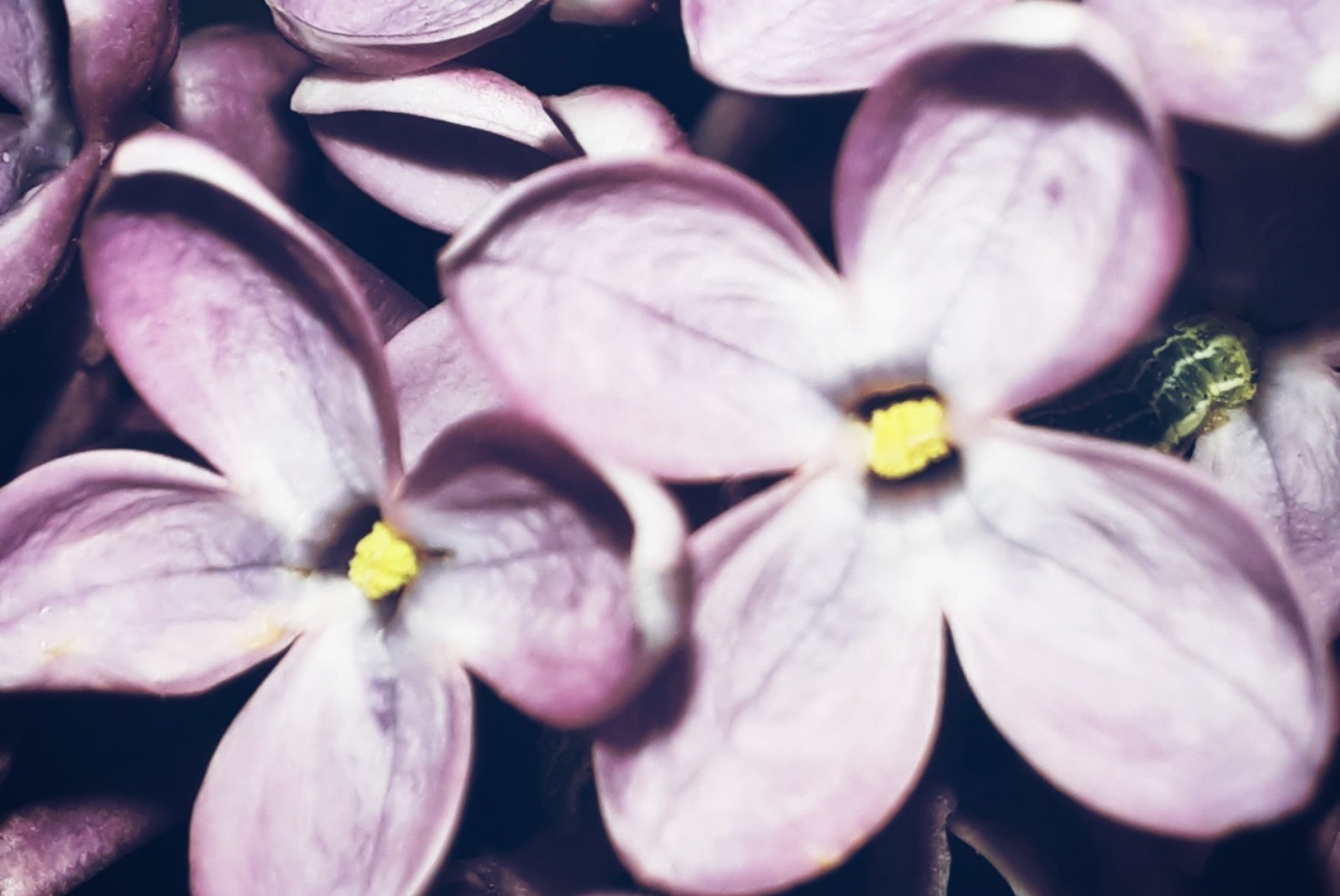 Секреты счастливой жизни