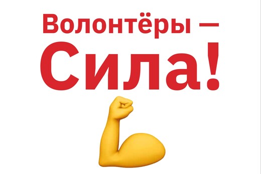 «Волонтеры–Сила!»: проект о том, как реализовать доброво...