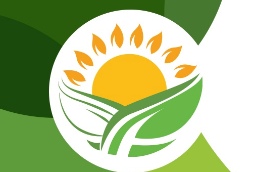 Воркшоп «Возможности для студенческих и  молодежных объединений»