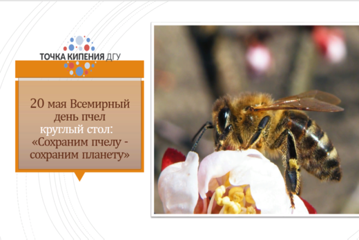 Круглый стол:  Сохраним пчелу - сохраним планету