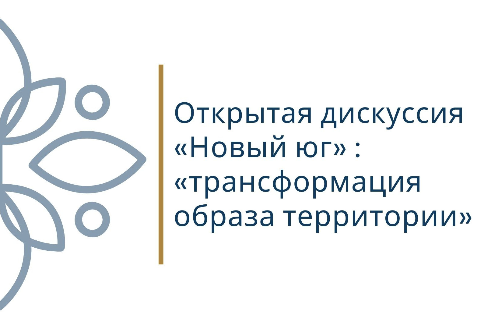 «Новый юг» : «трансформация образа территории»