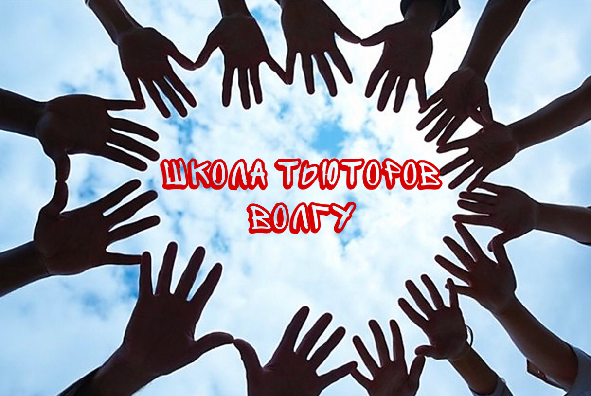 Школа тьюторов ВолГУ - Основные обязанности тьютора