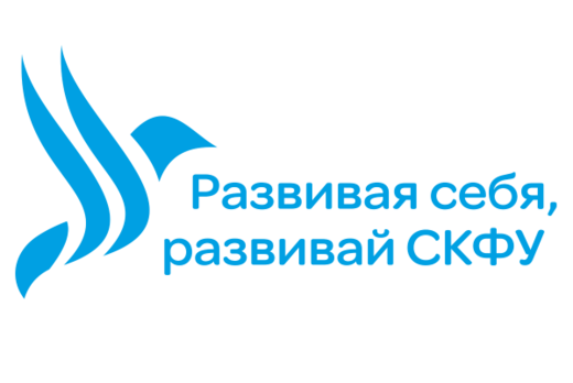 Представление проектов Кадрового резерва СКФУ
