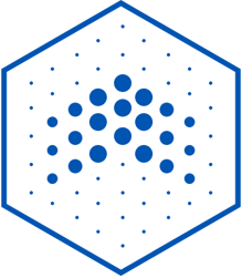 ООО «Высокие Технологии для Бизнеса»