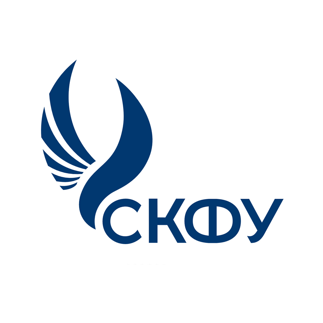 Институт экономики и управления СКФУ