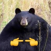 Питерман Даниил