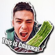 Осипов Виктор Александрович