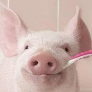 Тихомиров Дмитрий