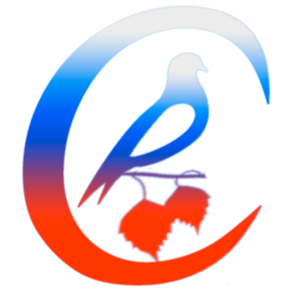 Артур Расимович Хафизов