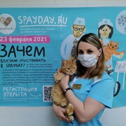 Ильина Виолетта Юрьевна